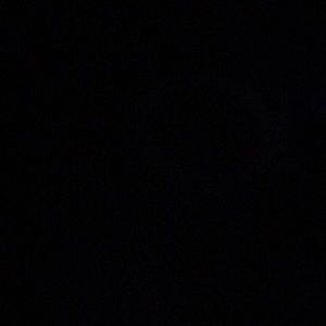 Meet your Posher, Dylan